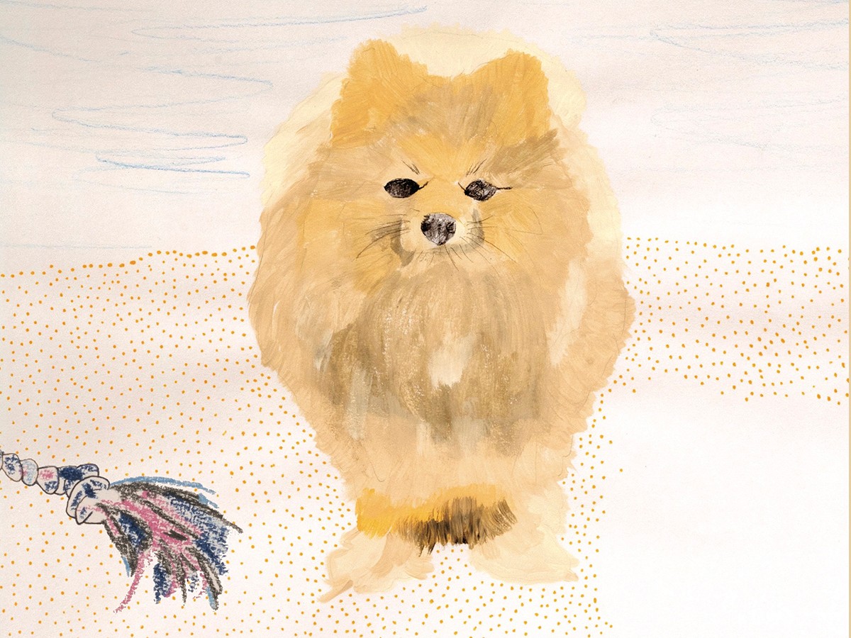 Illustration